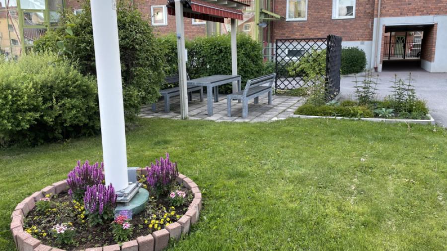 Örnens uteplats sommartid